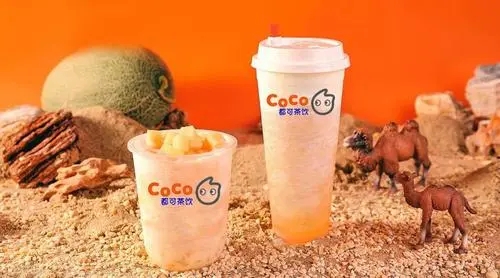 探讨 coco 奶茶加盟店的年度收益揭秘