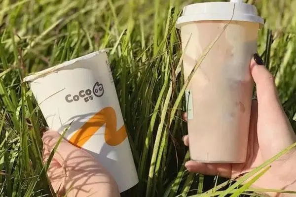 全面解读开设 COCO 奶茶店的投资费用及收益预估